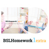 BSLHomework1extra - Digital